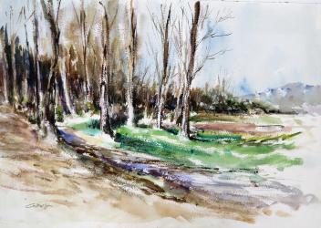 Camí del riu Fluvià a Besalú - Aquarel·la - 36x51 cm - 2008